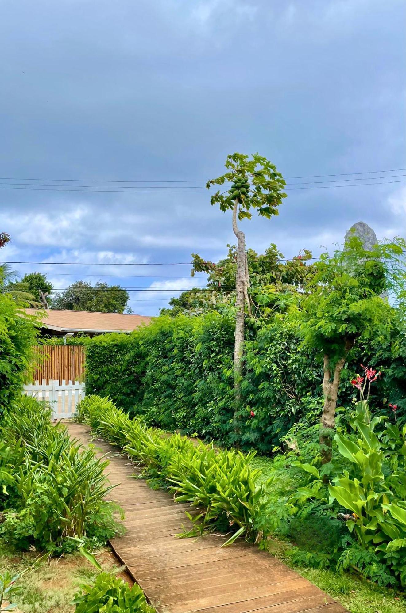 Hotel Casa Do Anjo Fernando de Noronha Exterior foto